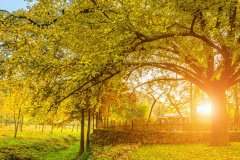 岳麓區(qū)做網(wǎng)站公司建站需要多長時間？